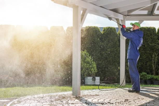 Best Sidewalk and Walkway Cleaning  in Newburg, WI